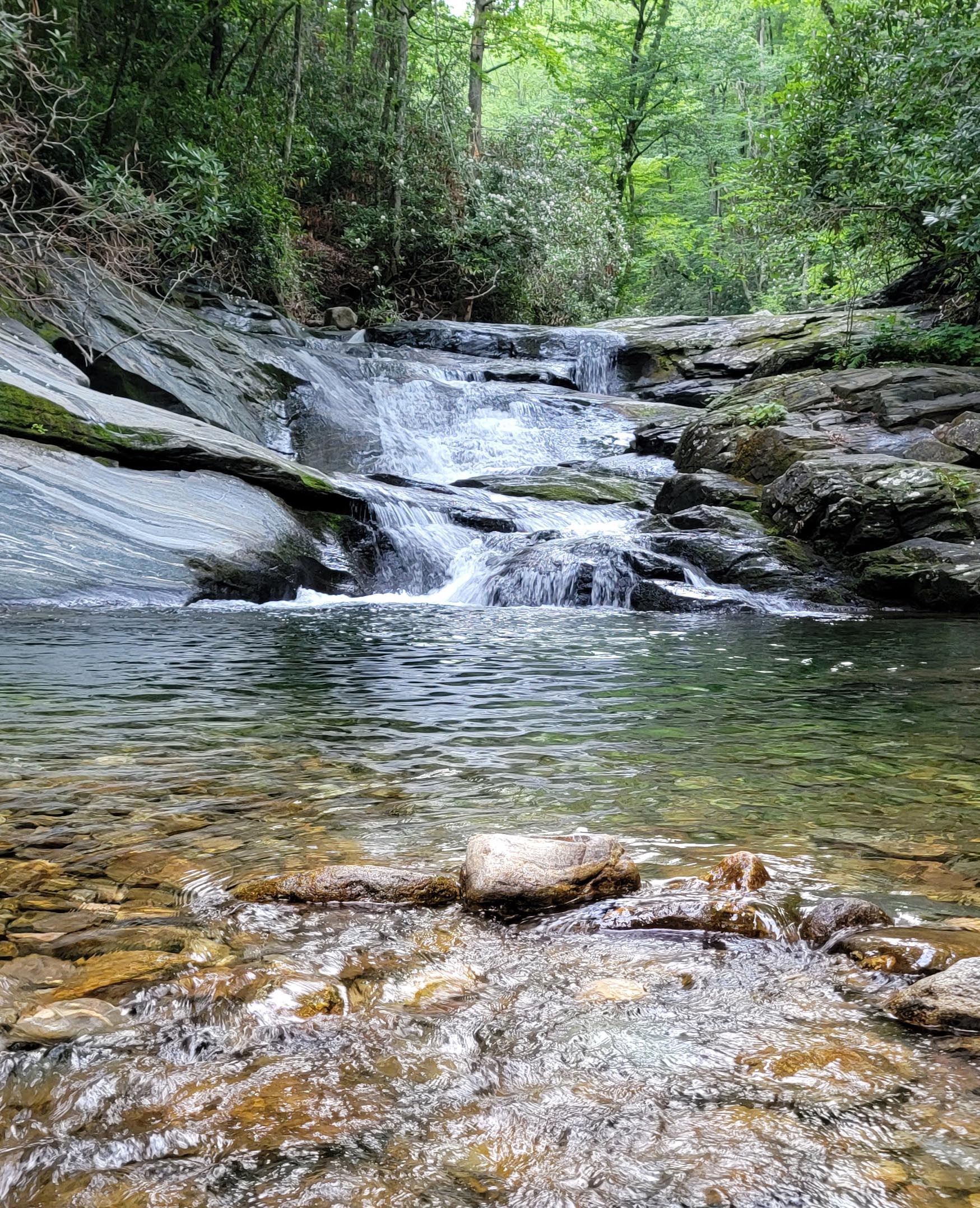 a small, unnamed waterfall in Pisgah National Forest